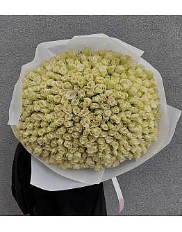 Ivory Charm White Roses