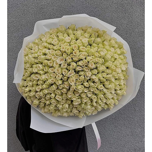 Ivory Charm White Roses