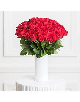 Ruby Charm 25 Roses