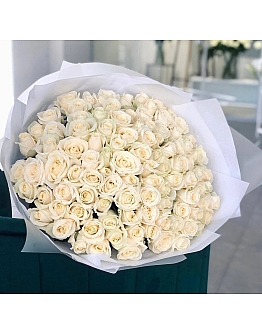 Playa Blanca White Roses