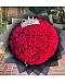 Princess Crown 100 Roses