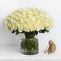 Grand Josephine Rose Arrangement