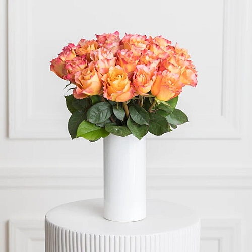 Peach Breeze 25 Roses
