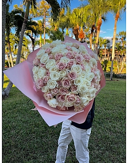 Pink Cloud Harmony Roses